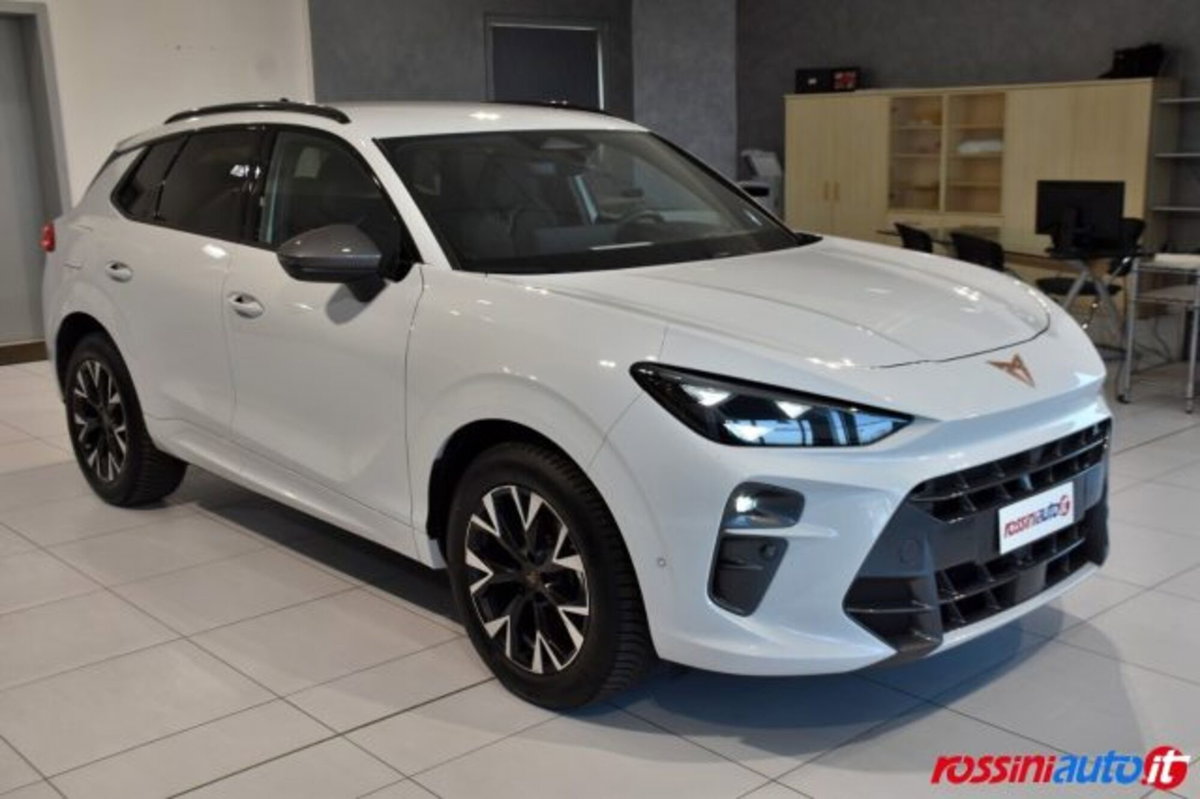 Cupra Terramar 1.5 hybrid 150cv dsg (7)