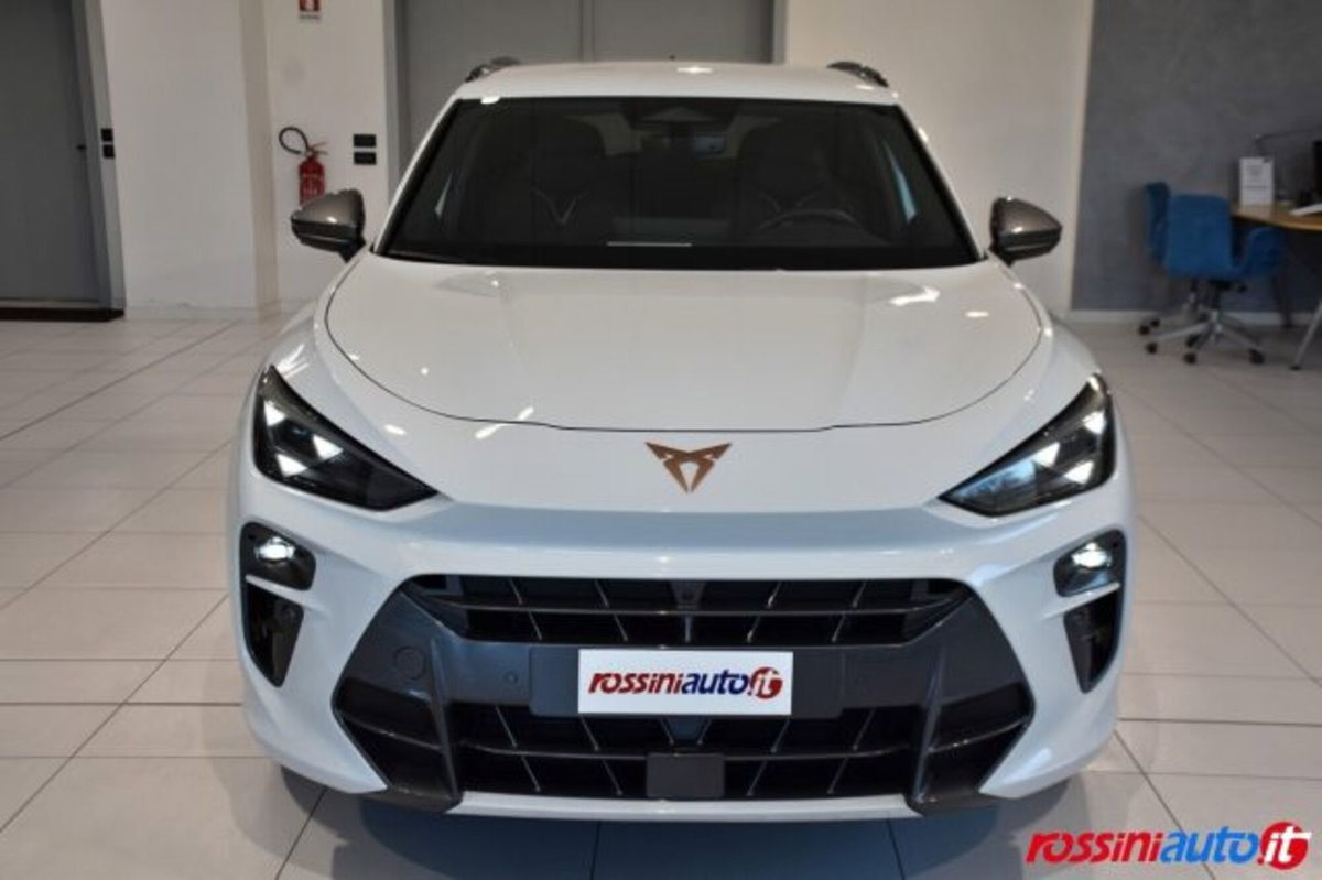 Cupra Terramar 1.5 hybrid 150cv dsg (8)