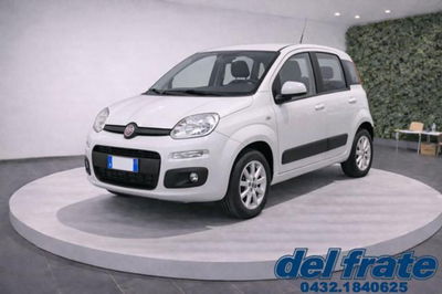Fiat Panda 1.2 Easy usata