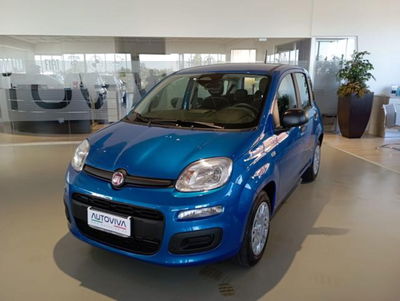 Fiat Panda 1.0 firefly hybrid Icon s&s 70cv nuova