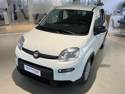 Fiat Panda 1.0 firefly hybrid s&s 70cv 5p.ti nuova