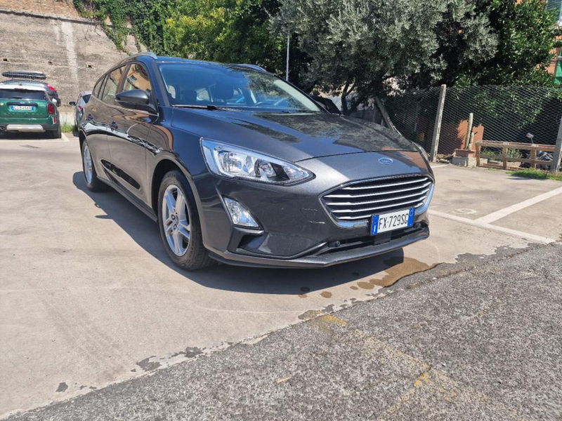 Ford Focus Station Wagon 1.5 EcoBlue 95 CV SW Plus