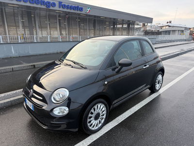 Fiat 500 1.0 Hybrid Cult usata