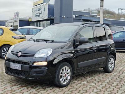 Fiat Panda 1.0 FireFly S&S Hybrid City Life usata