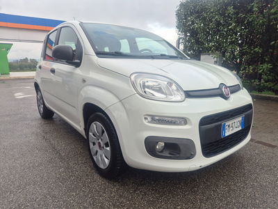 Fiat Panda 1.2 EasyPower Lounge usata