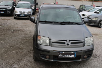 Fiat Panda 1.3 MJT 16V DPF Dynamic usata