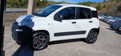 Fiat Panda 0.9 TwinAir Turbo S&S 4x4 Pop Van 2 posti (7)