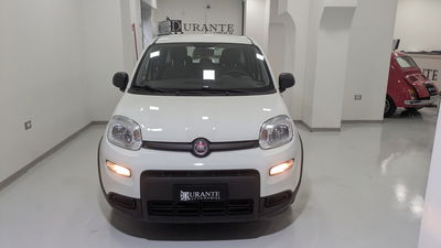 Fiat Panda 1.0 FireFly S&S Hybrid usata