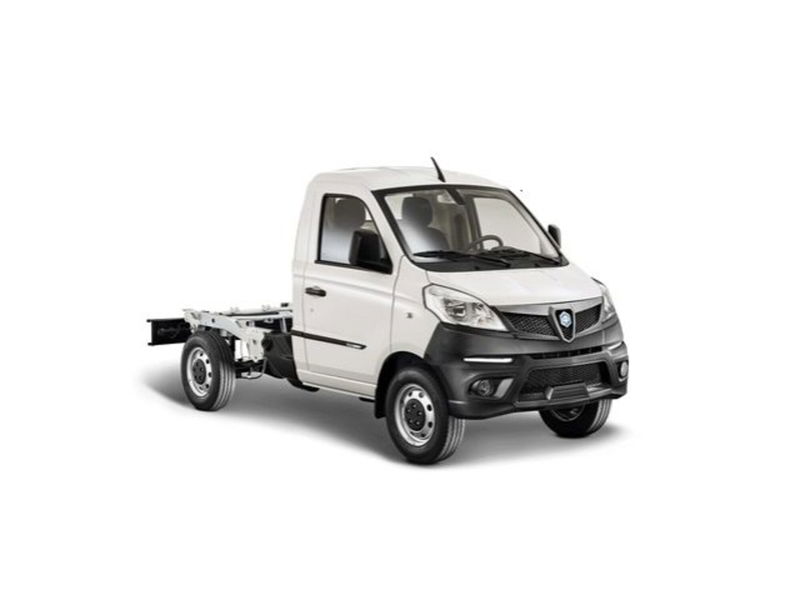 Piaggio Porter NP6 1.5 PC Long Range LPG Cassonato Standard Pro