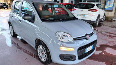 Fiat Panda Cross Cross 1.0 FireFly S&S Hybrid usata