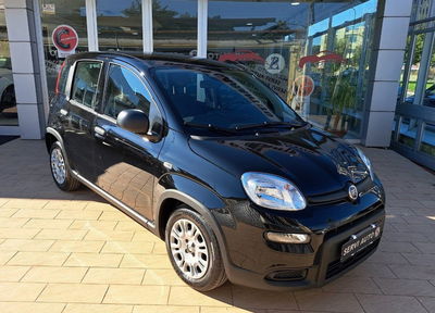Fiat Panda Cross Cross 1.0 FireFly S&S Hybrid usata
