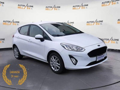 Ford Fiesta 1.5 EcoBlue 5 porte Business High usata