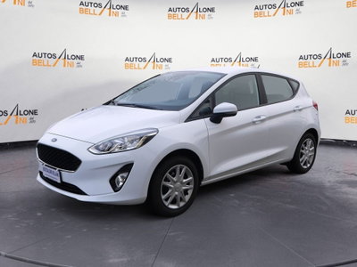 Ford Fiesta 1.5 EcoBlue 5 porte Business High (3)