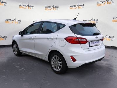 Ford Fiesta 1.5 EcoBlue 5 porte Business High (4)