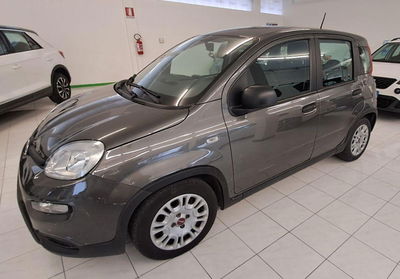 Fiat Panda Cross Cross 1.0 FireFly S&S Hybrid usata