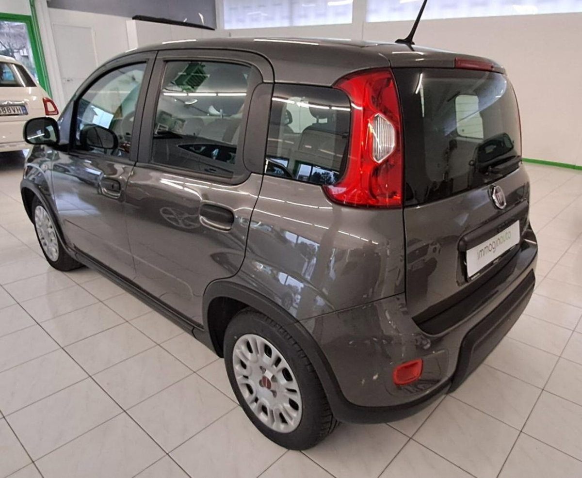Fiat Panda Cross Cross 1.0 FireFly S&S Hybrid (2)