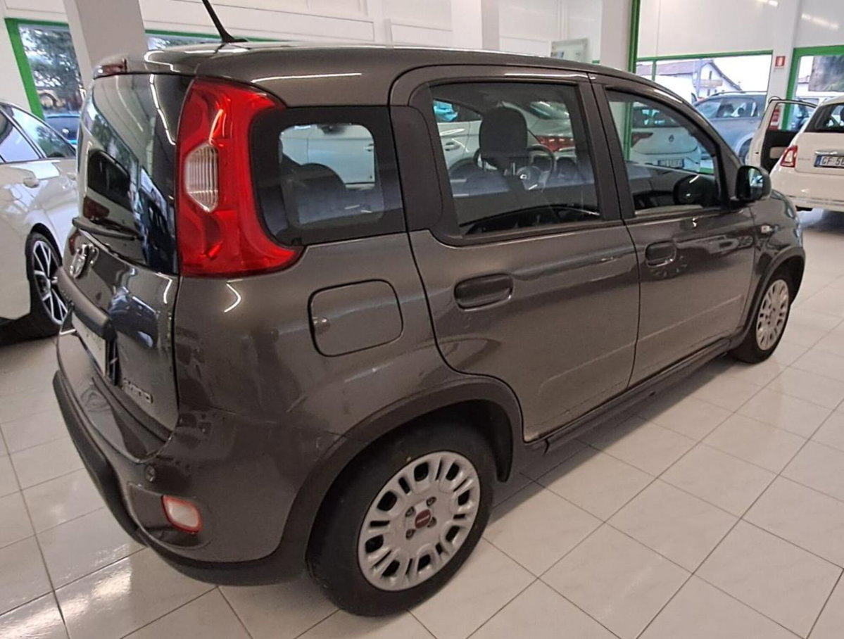 Fiat Panda Cross Cross 1.0 FireFly S&S Hybrid (3)