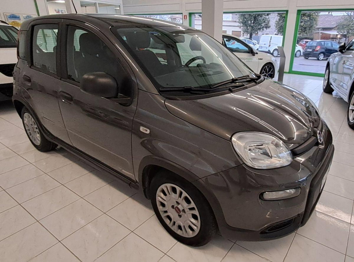 Fiat Panda Cross Cross 1.0 FireFly S&S Hybrid (4)