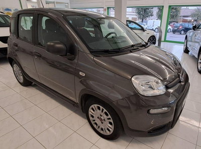 Fiat Panda Cross Cross 1.0 FireFly S&S Hybrid (4)