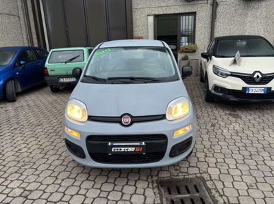 Fiat Panda 1.2 EasyPower Easy usata