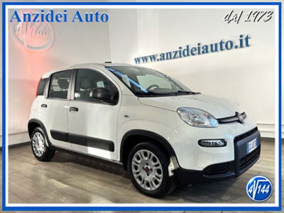 Fiat Panda van 1.0 hybrid Street 70cv 4p.ti serie 4 E6d usato