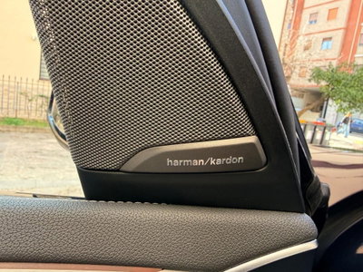 BMW iX3 iX3 Impressive (17)