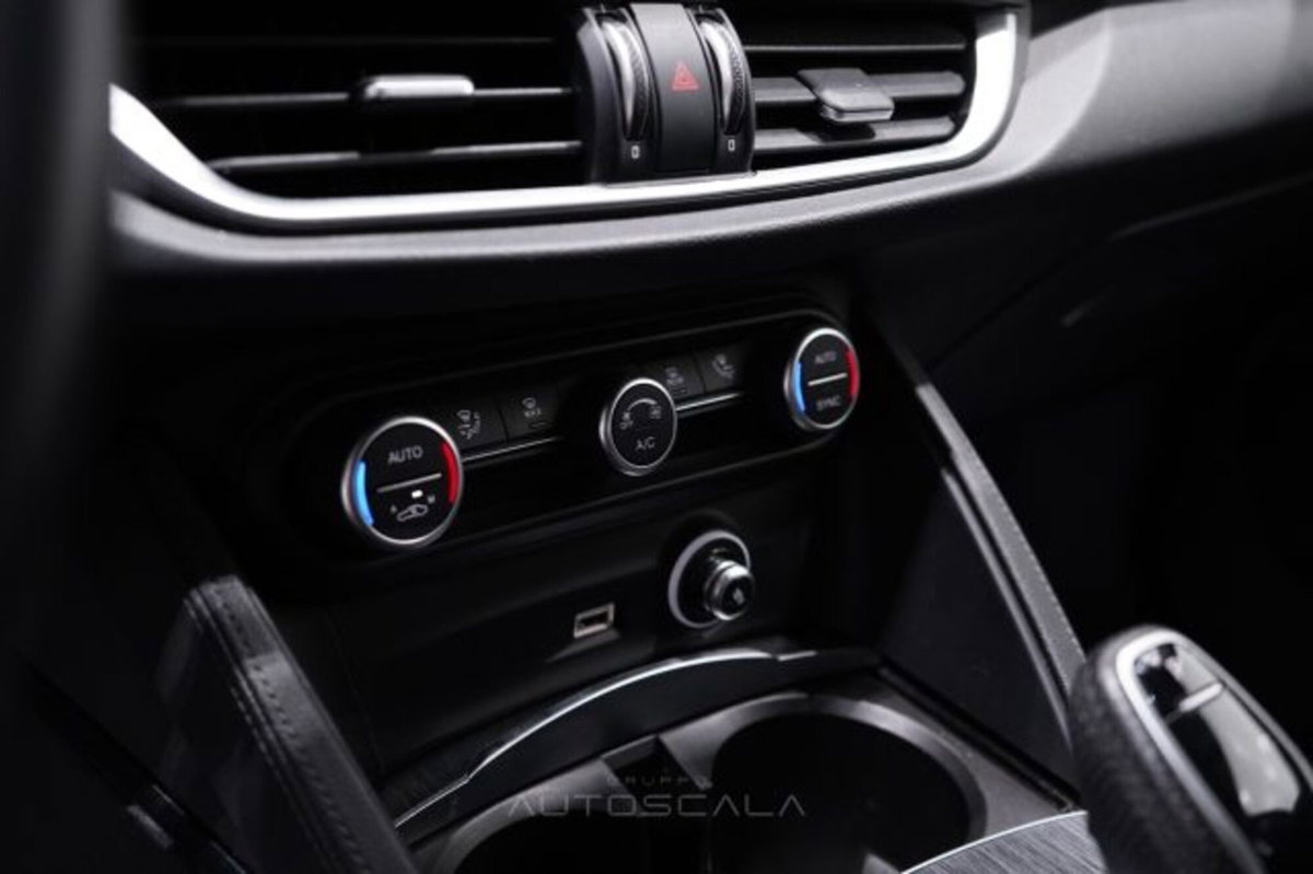 Alfa Romeo Stelvio Stelvio 2.2 Turbodiesel 210 CV AT8 Q4 Super (19)