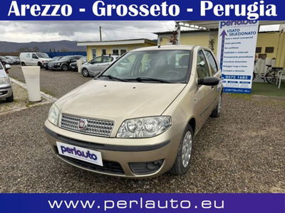 Fiat Punto Classic 1.3 MJT 5 porte Active usata