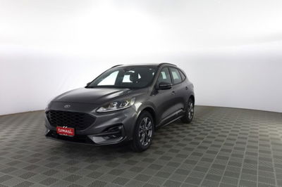 Ford Kuga 1.5 EcoBlue 120 CV 2WD ST-Line usata
