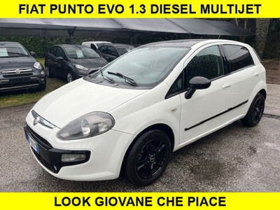 Fiat Punto Evo 1.3 Mjt 75 CV 5 porte Active usata