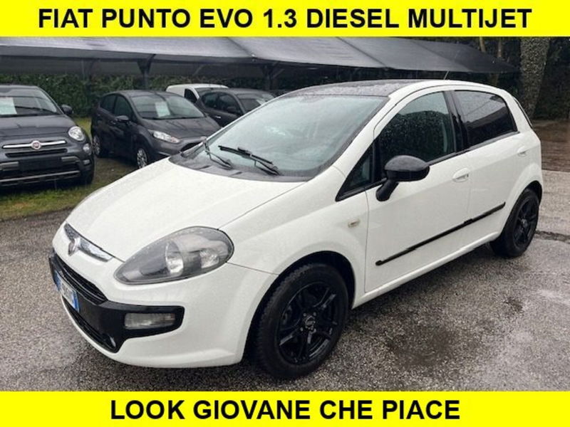Fiat Punto Evo 1.3 Mjt 75 CV 5 porte Active