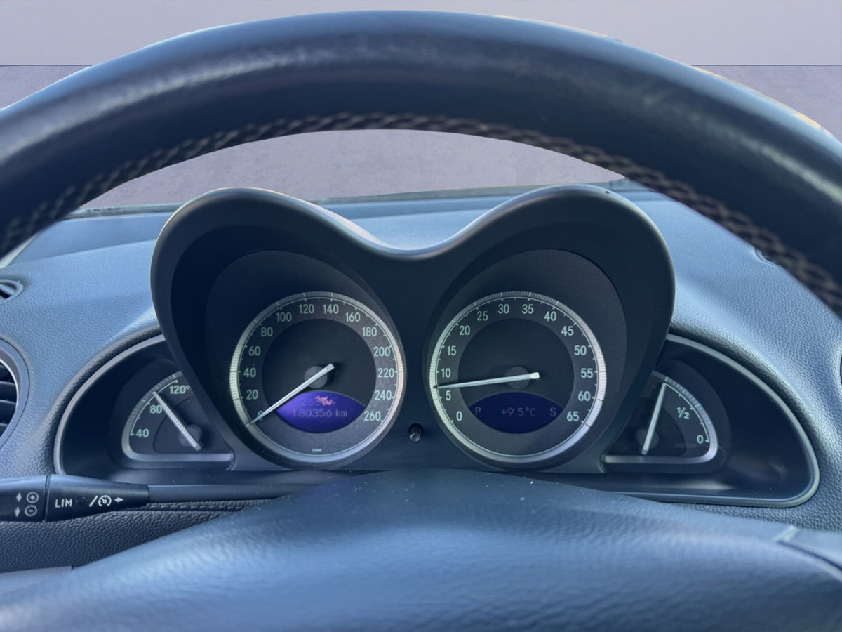Mercedes-Benz SL 350 cat (10)