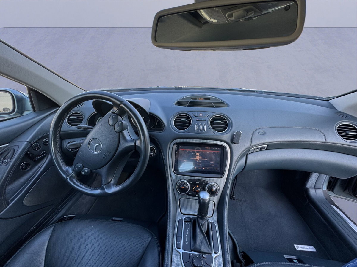 Mercedes-Benz SL 350 cat (12)