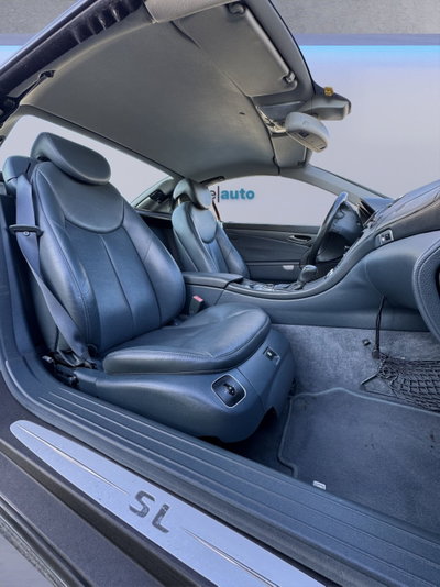 Mercedes-Benz SL 350 cat (14)