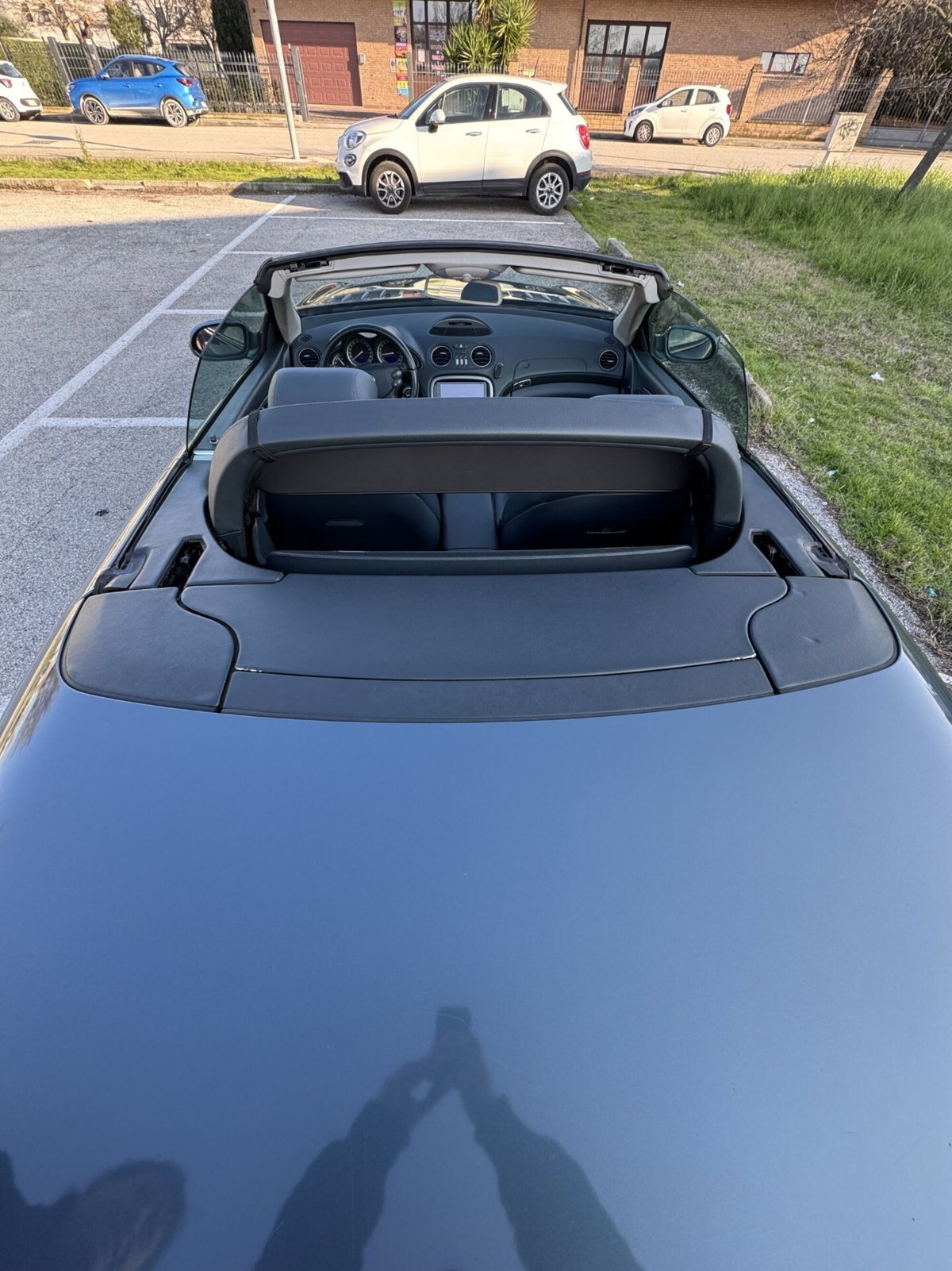 Mercedes-Benz SL 350 cat (15)