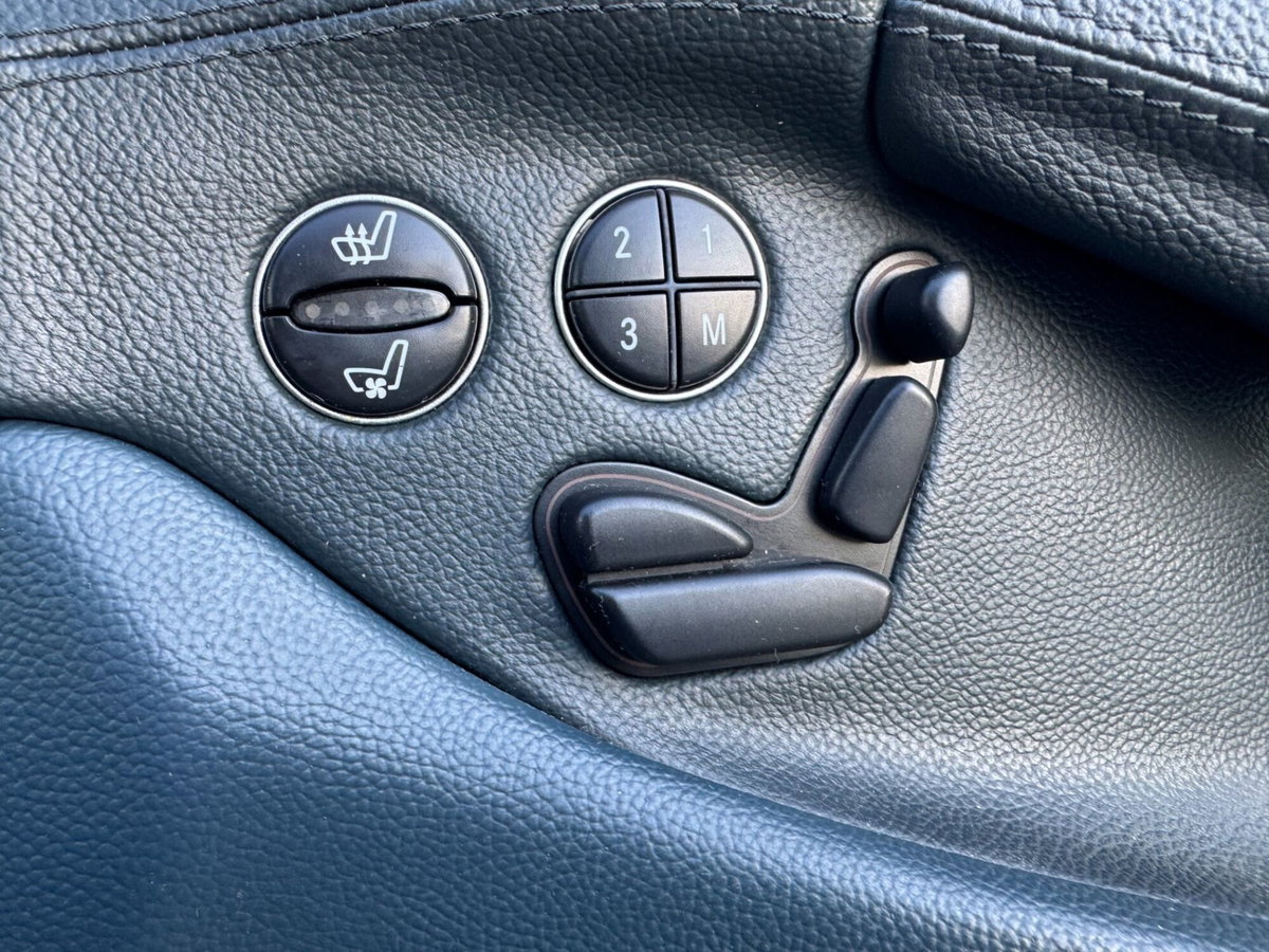 Mercedes-Benz SL 350 cat (17)