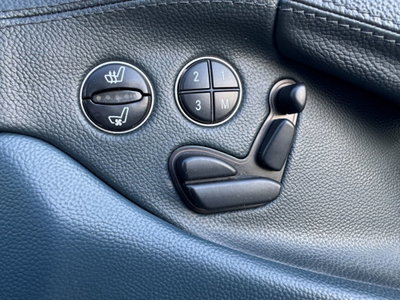 Mercedes-Benz SL 350 cat (17)
