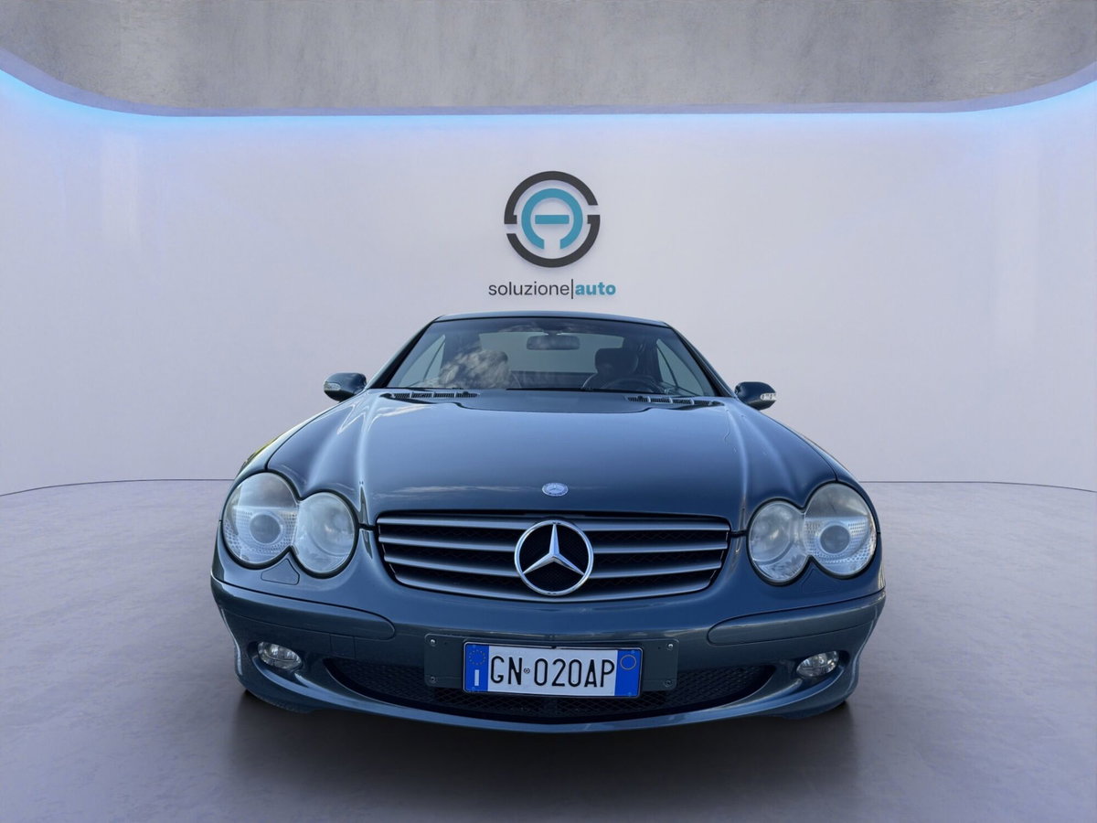 Mercedes-Benz SL 350 cat (3)