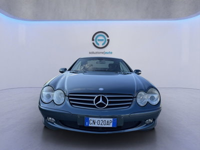 Mercedes-Benz SL 350 cat (2)