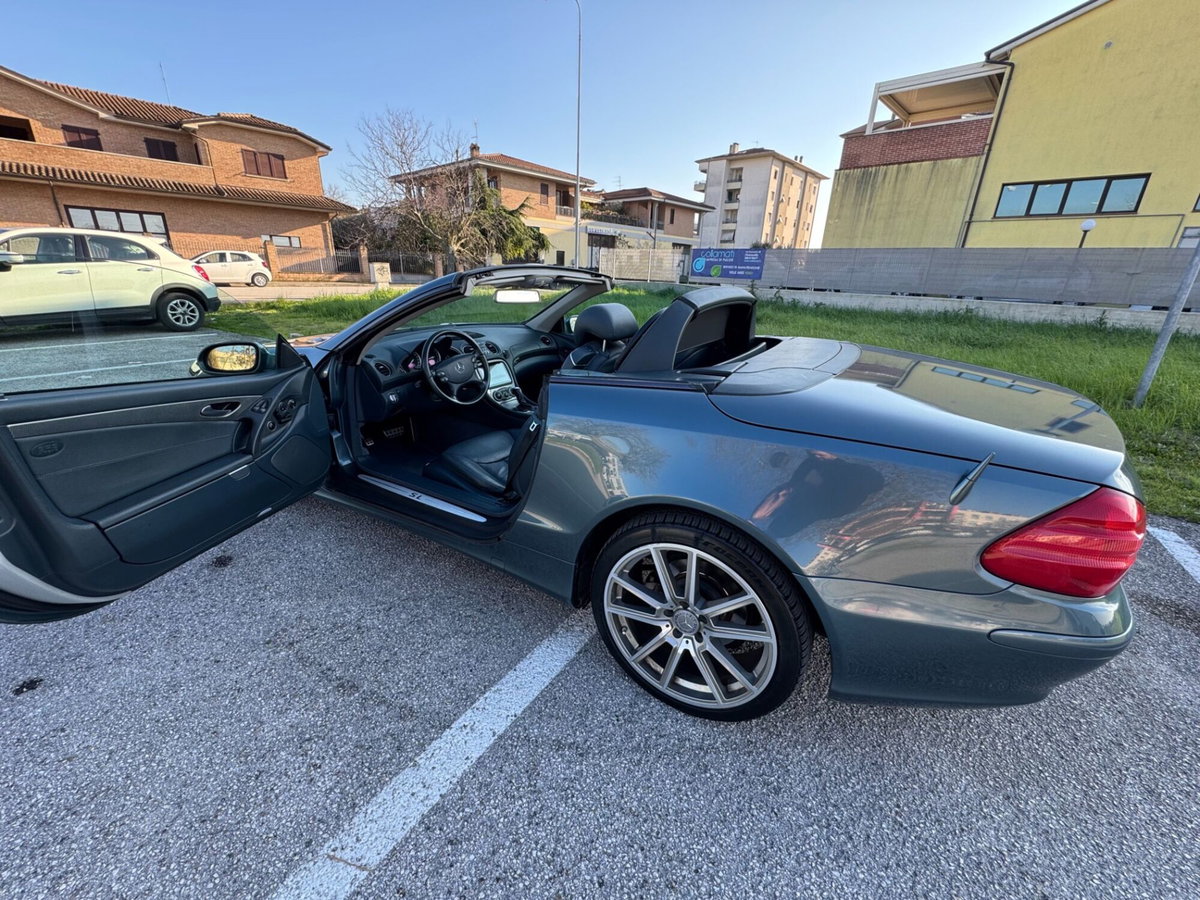 Mercedes-Benz SL 350 cat (20)