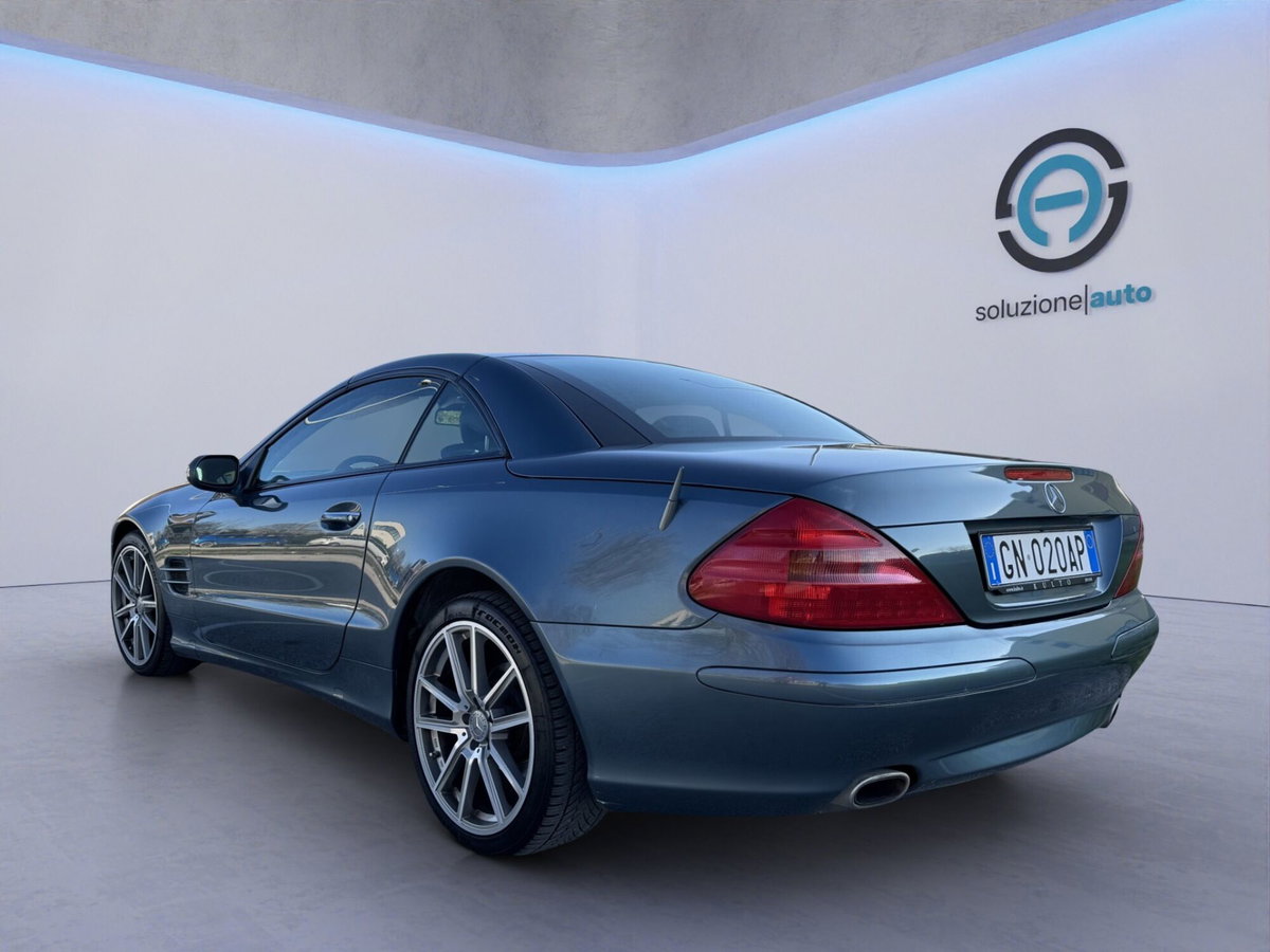 Mercedes-Benz SL 350 cat (4)