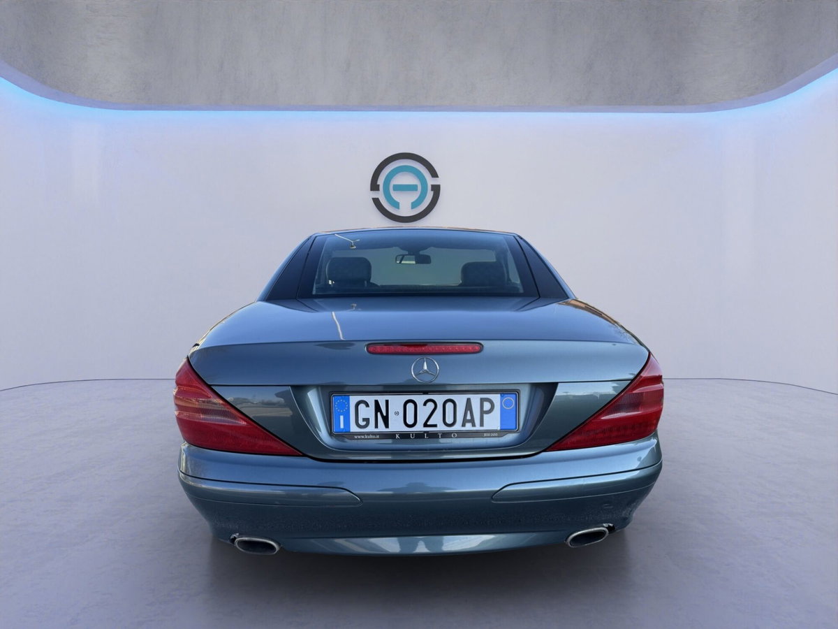 Mercedes-Benz SL 350 cat (5)