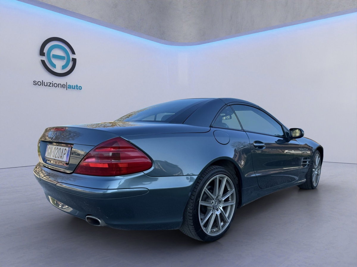 Mercedes-Benz SL 350 cat (6)