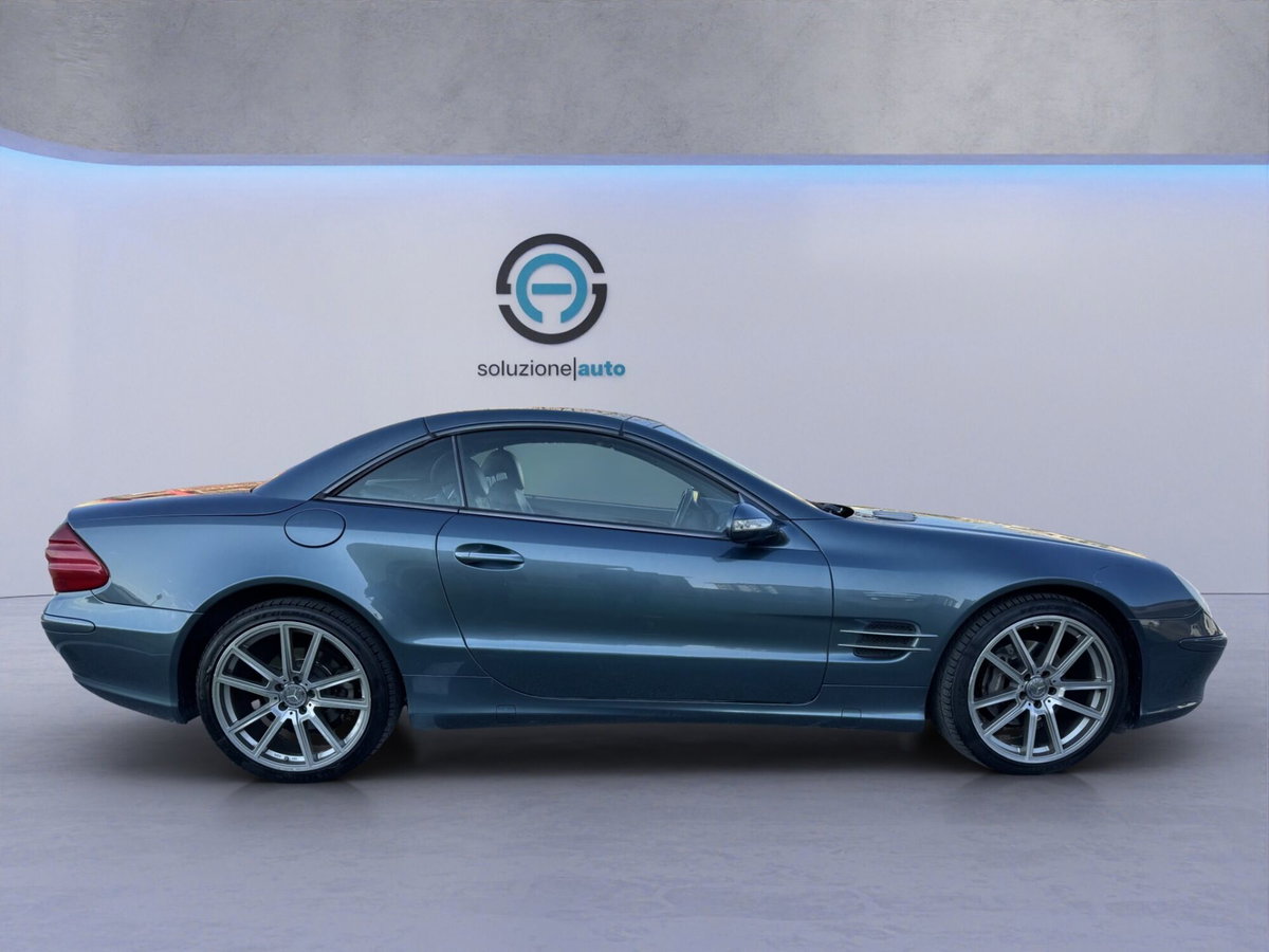 Mercedes-Benz SL 350 cat (7)