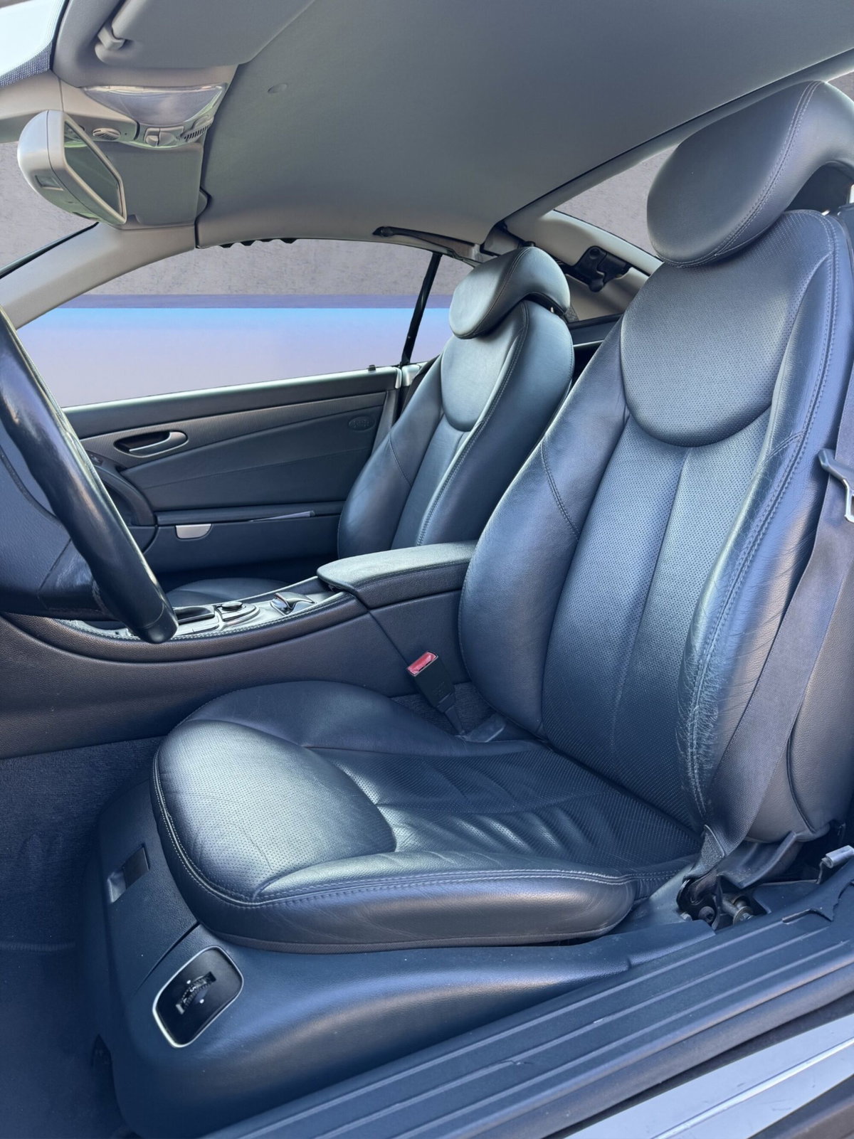 Mercedes-Benz SL 350 cat (9)