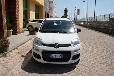 Fiat Panda 1.0 FireFly S&S Hybrid Easy usata