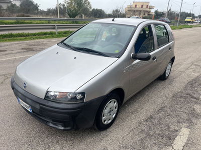 Fiat Punto 1.2i cat 5 porte SX usata