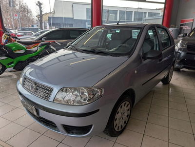 Fiat Punto Classic 1.2 5 porte Active usata