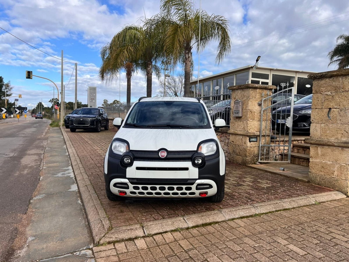 Fiat Panda 1.0 FireFly S&S Hybrid City Cross (2)