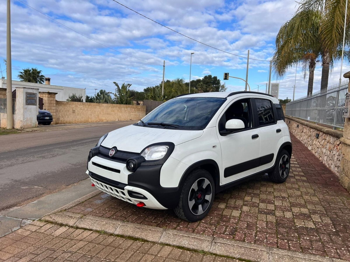 Fiat Panda 1.0 FireFly S&S Hybrid City Cross (3)